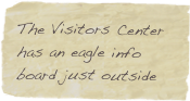The Visitors Center  has an eagle info board just outside